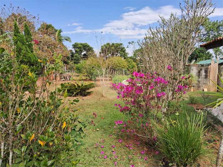 Foto REO1126265