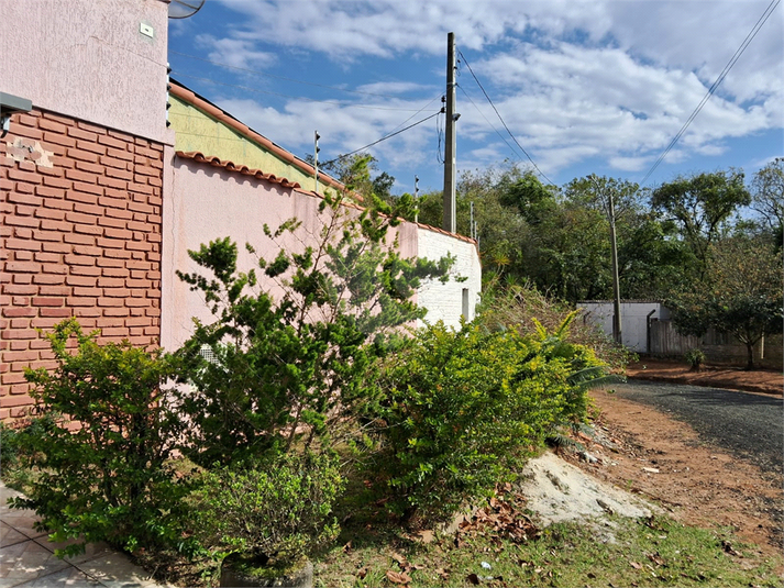 Foto REO1126265