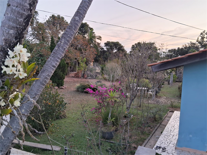 Foto REO1126265