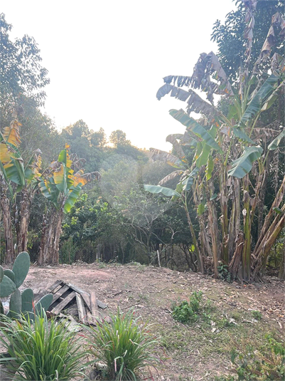 Foto REO1126274