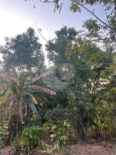Foto REO1126274