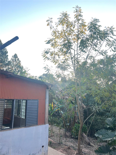 Foto REO1126274