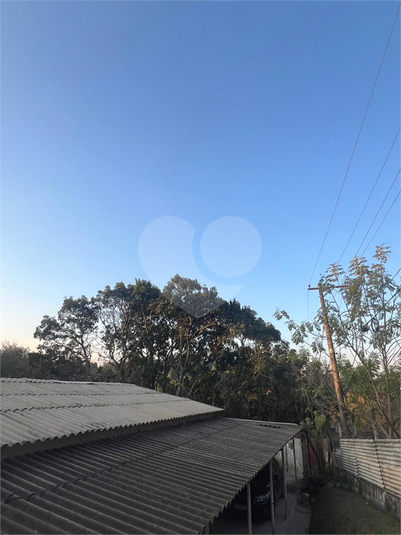 Foto REO1126274