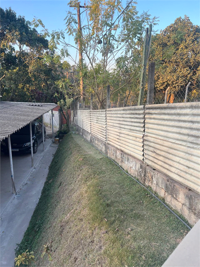 Foto REO1126274