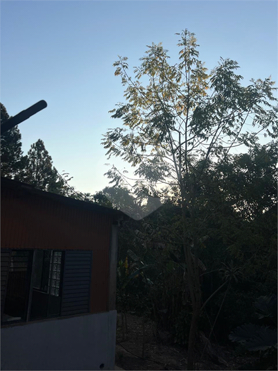 Foto REO1126274