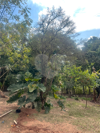 Foto REO1126274
