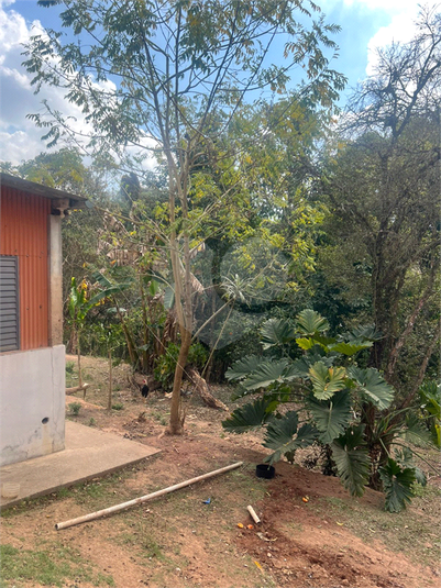 Foto REO1126274