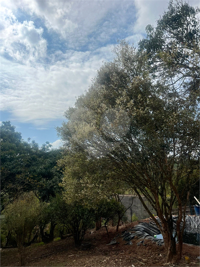 Foto REO1126274