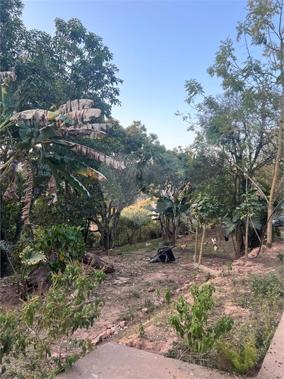 Foto REO1126274