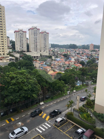 Foto REO1126278