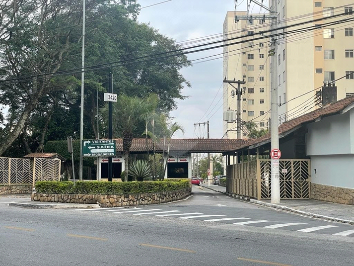 Foto REO1126278