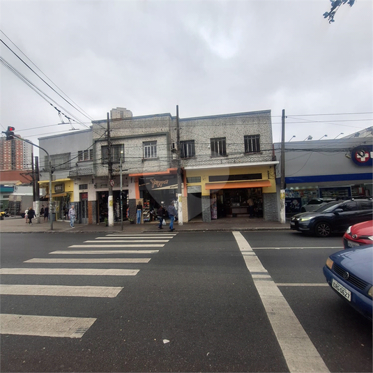 Foto REO1126280
