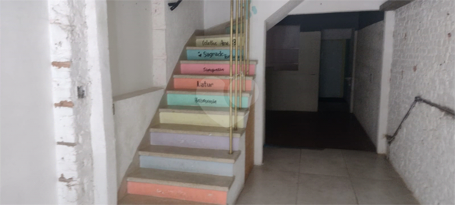 Foto REO1126316