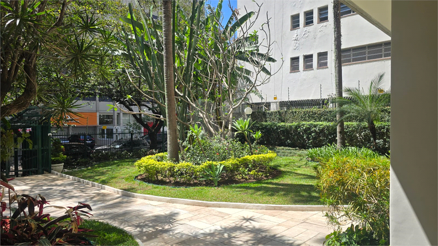 Foto REO1126337