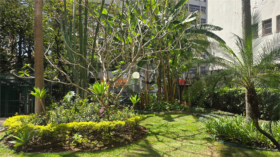 Foto REO1126337
