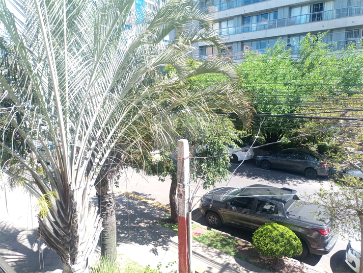 Foto REO1126341