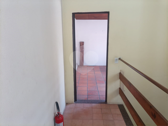 Foto REO1126341
