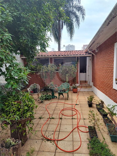Foto REO1126386