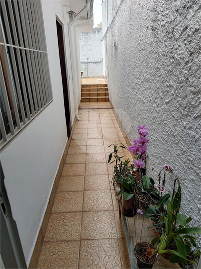 Foto REO1126386
