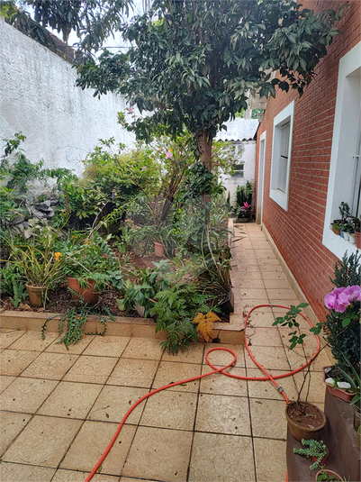 Foto REO1126386