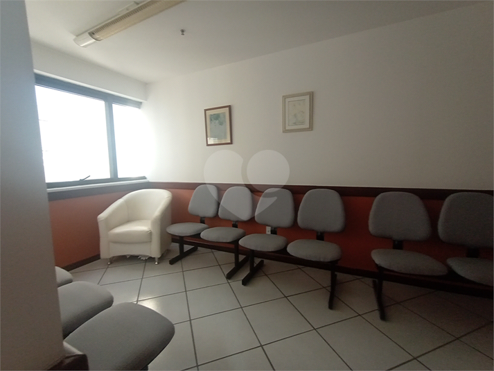 Foto REO1126388