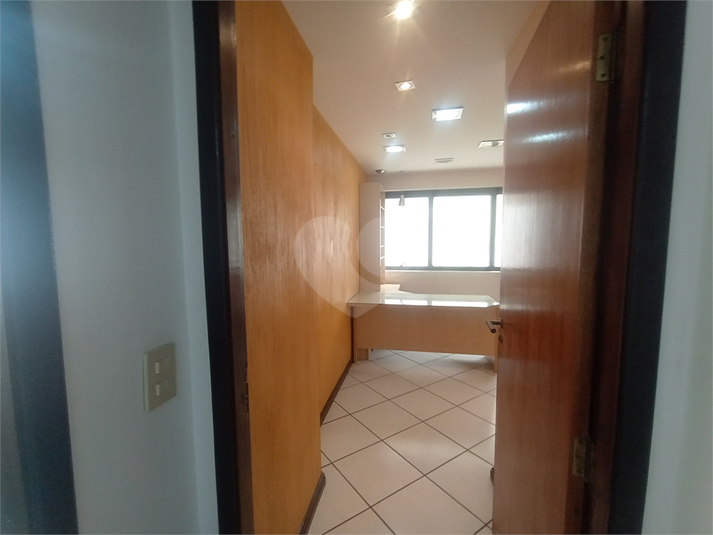 Foto REO1126388