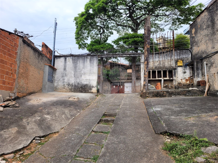 Foto REO1126402