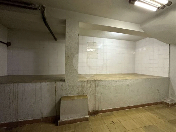 Foto REO1126422