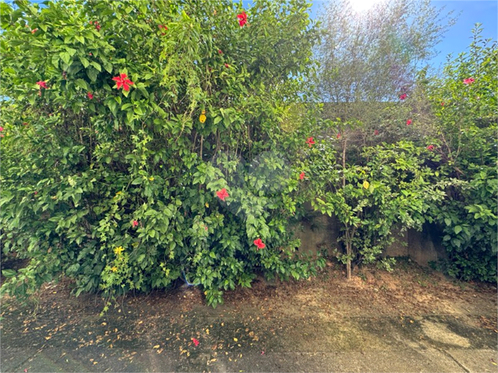 Foto REO1126427