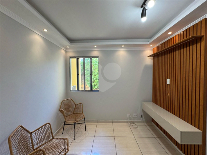 Foto REO1126427