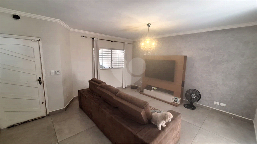 Foto REO1126431