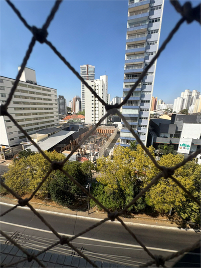 Foto REO1126443