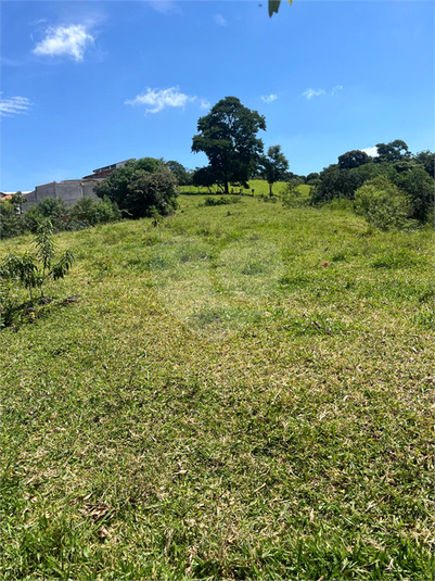 Foto REO1126444