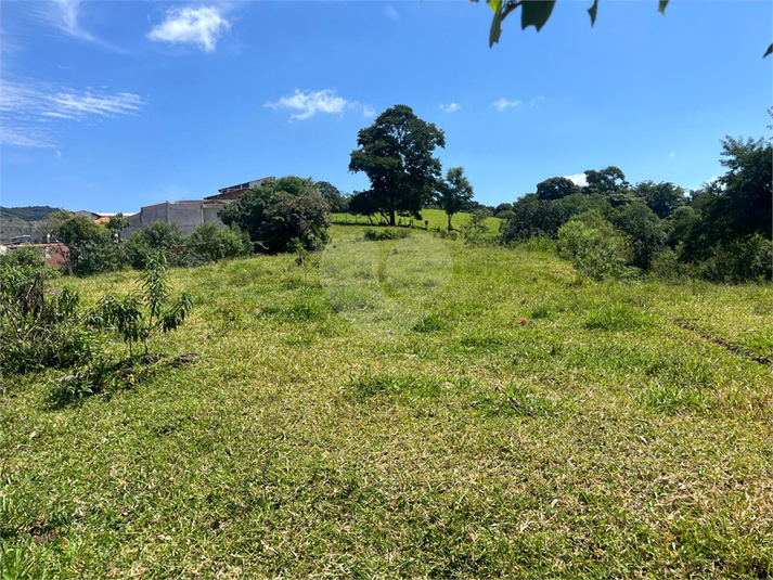 Foto REO1126444