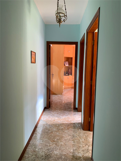 Foto REO1126446