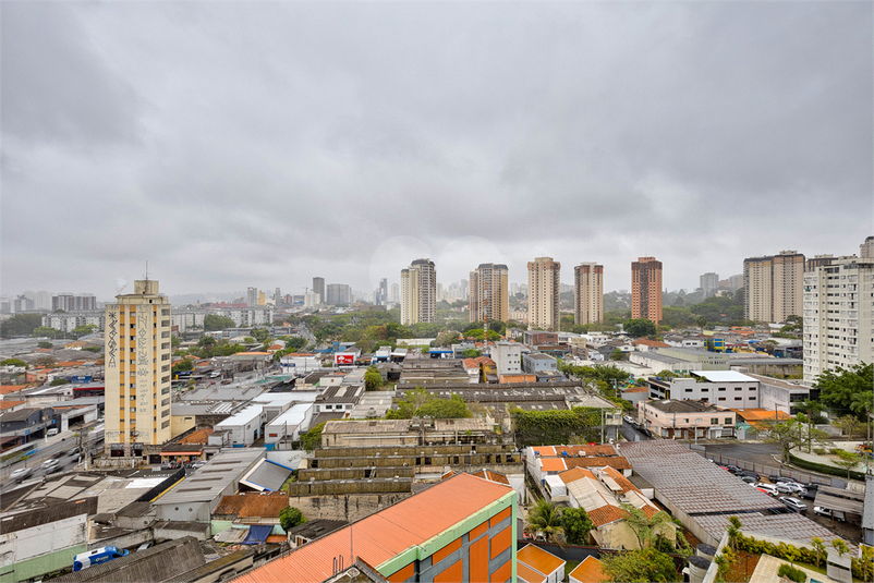 Foto REO1126454