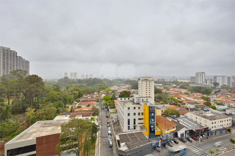 Foto REO1126454