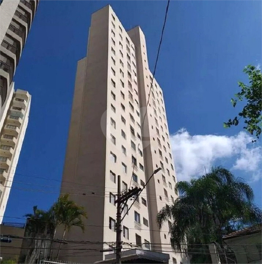 Foto REO1126455