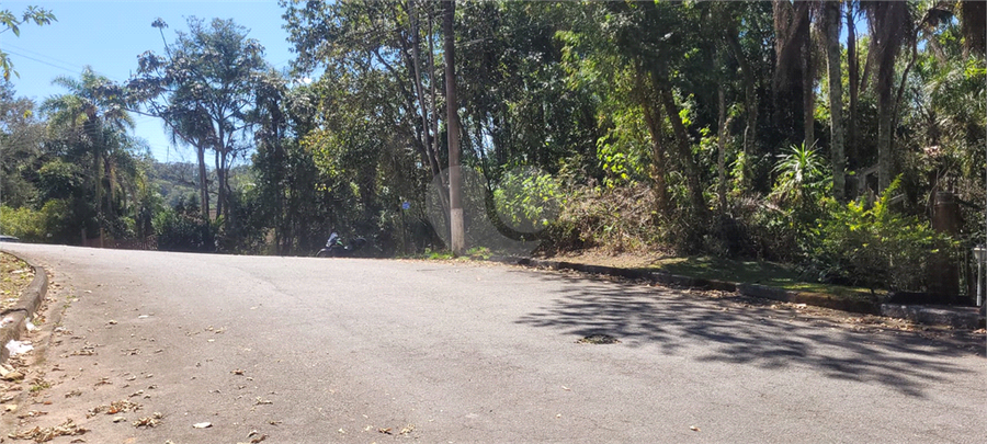 Foto REO1126460