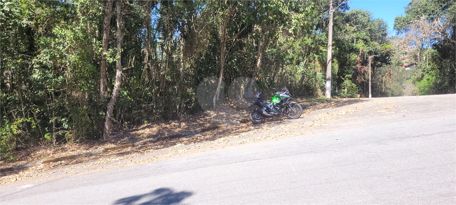 Foto REO1126460