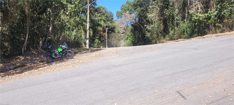 Foto REO1126460