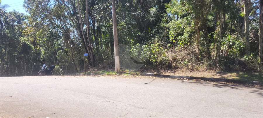 Foto REO1126460