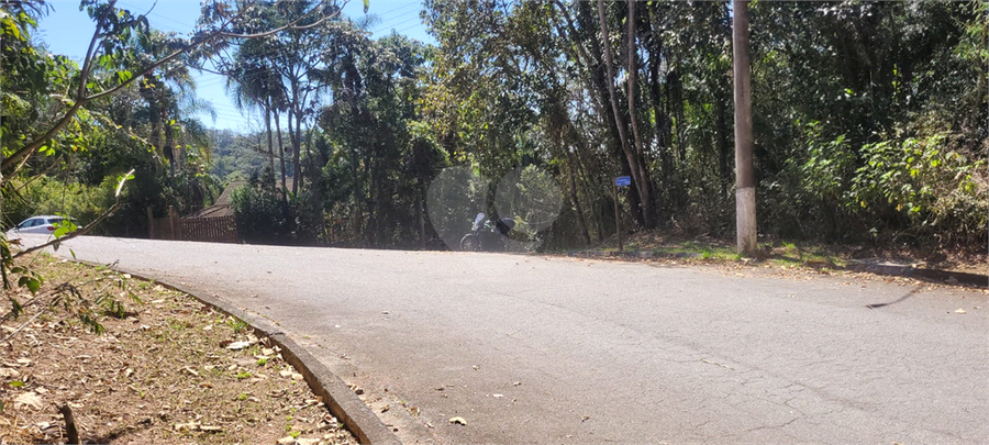 Foto REO1126460