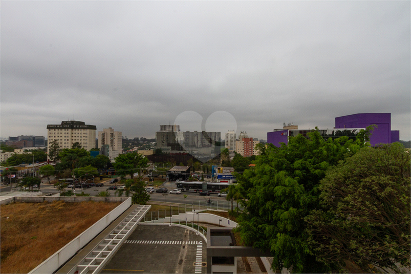 Foto REO1126473