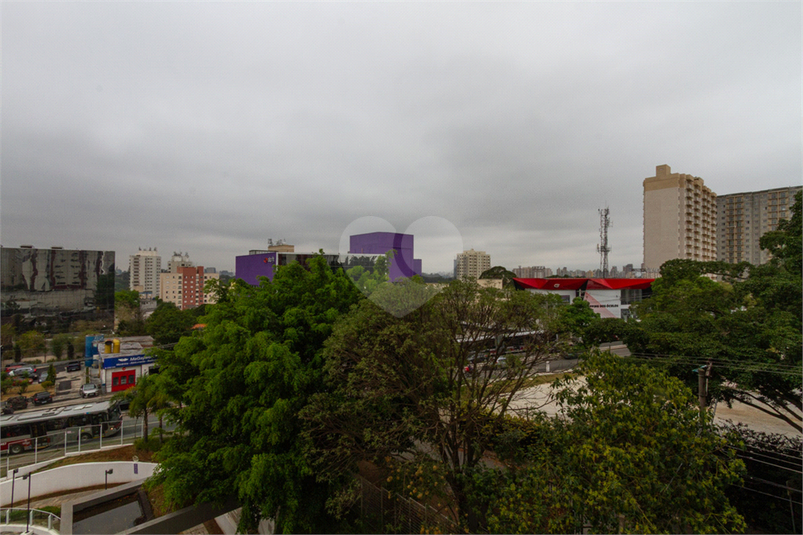 Foto REO1126473
