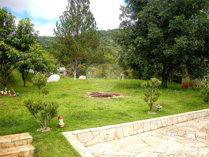 Foto REO1126474