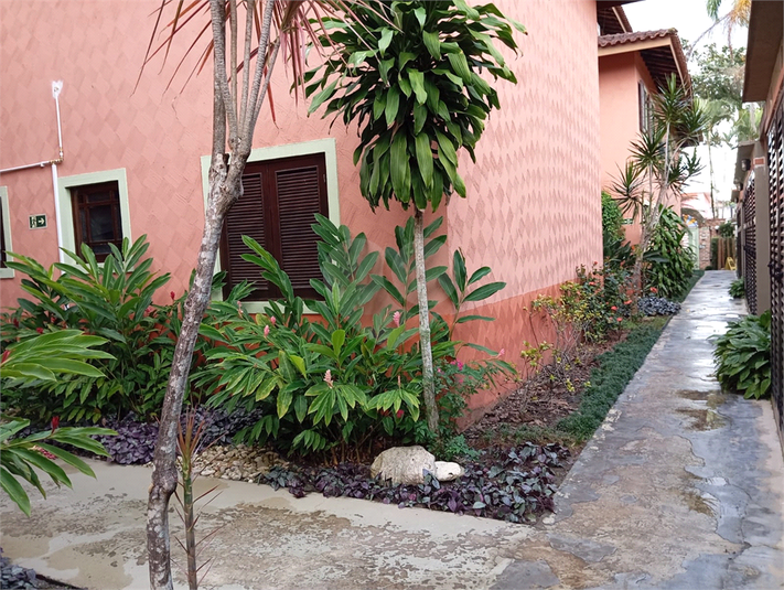 Foto REO1126479