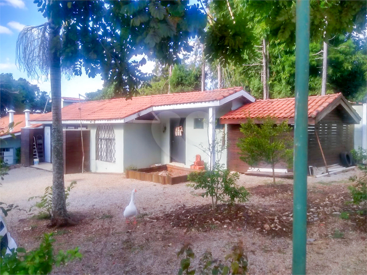 Foto REO1126481