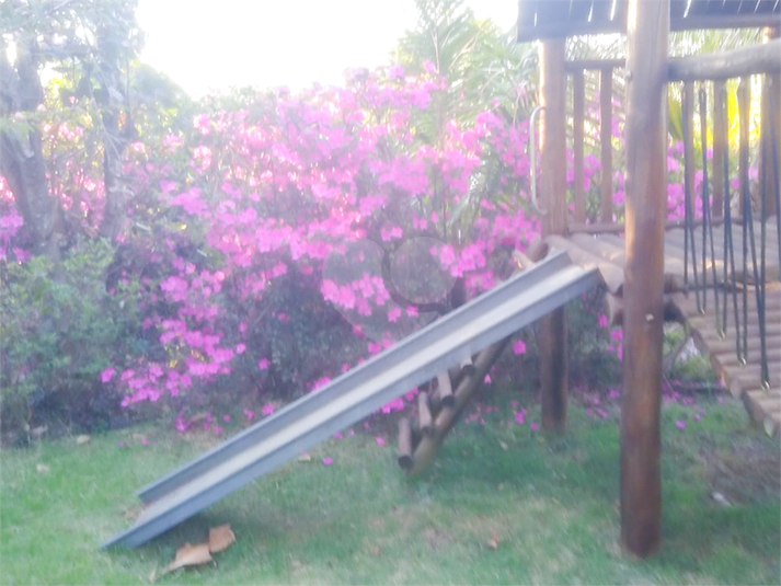 Foto REO1126481