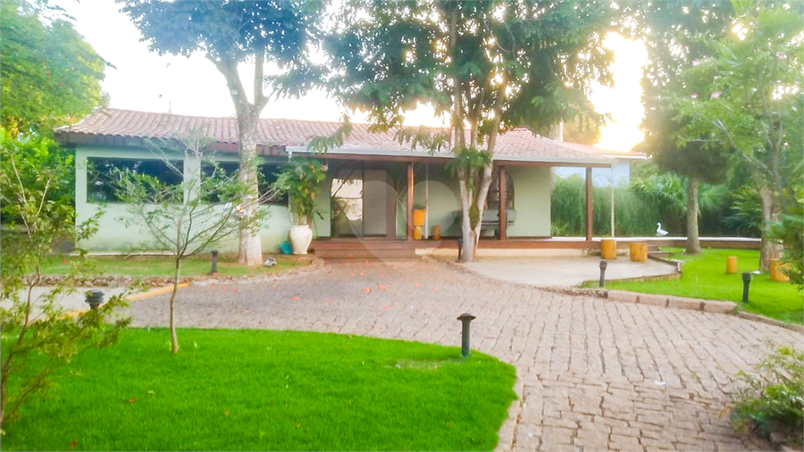Foto REO1126481